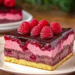 Himbeerkuchen mit Schokopudding